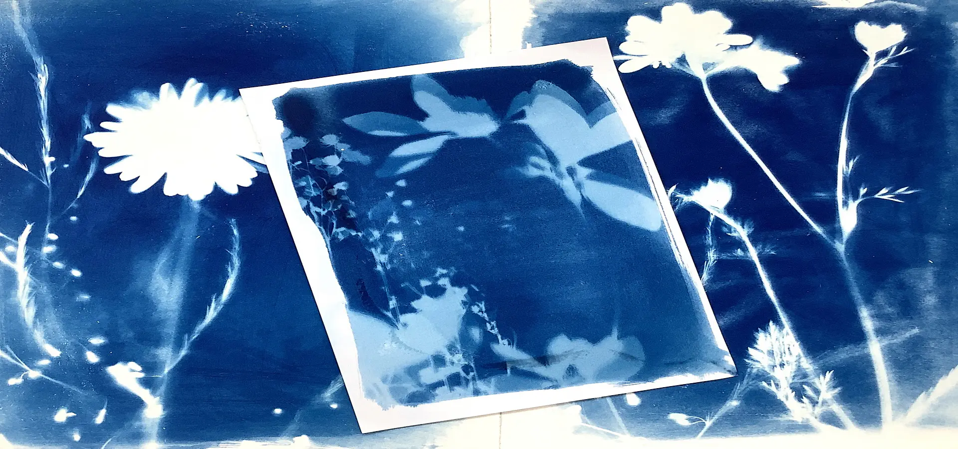 カメラを使わない!?紫外線で写す青写真のひみつ