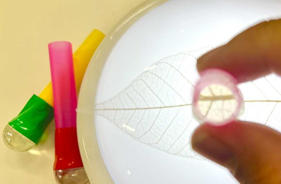 ビー玉顕微鏡で小さな世界をのぞいてみよう!