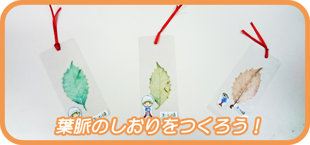 葉脈しおりを作ろう!