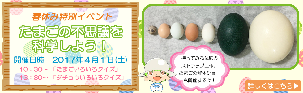 【春休み特別イベント】たまごの不思議を科学しよう!